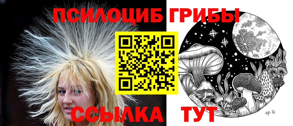 Галлюциногенные грибы GOLDEN TEACHER  Вход с VPN  купить   Брянск 